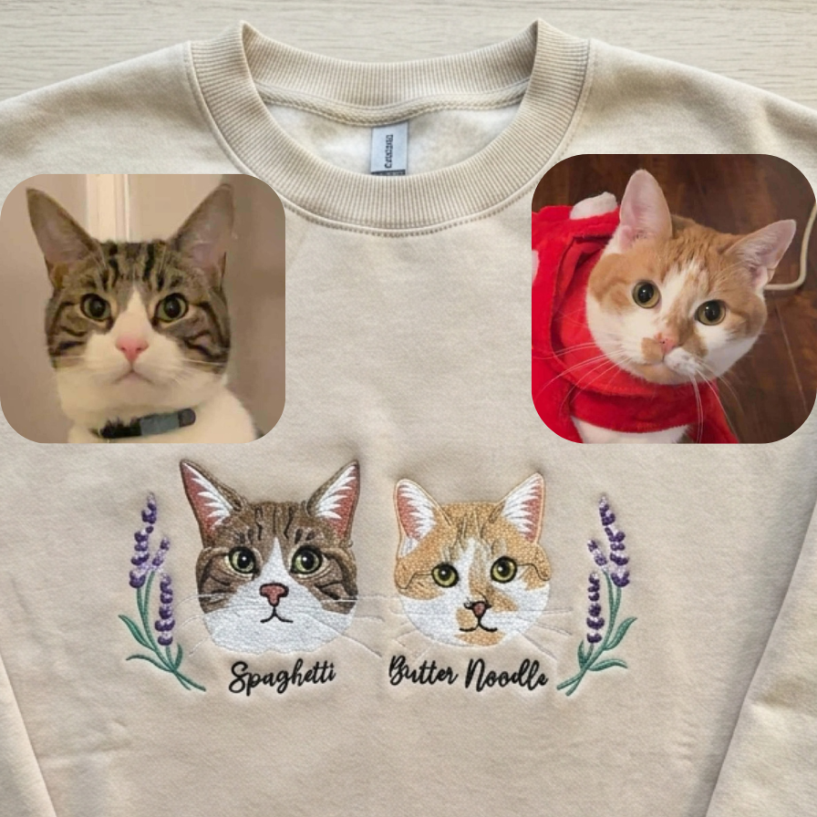 Beige sweatshirt with cat faces and names on a plain background