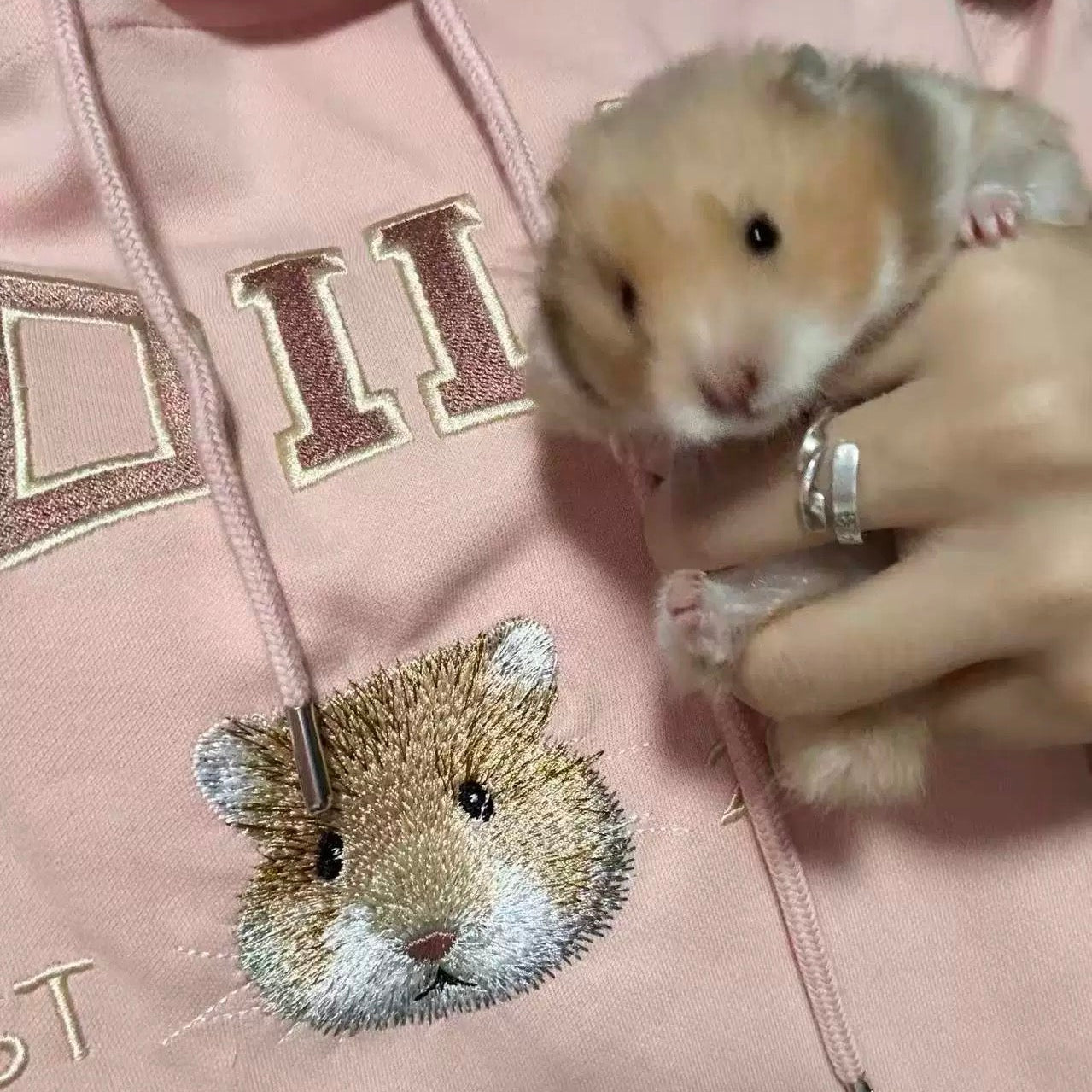 Person holding a small animal next to a pink hoodie with a hedgehog design.