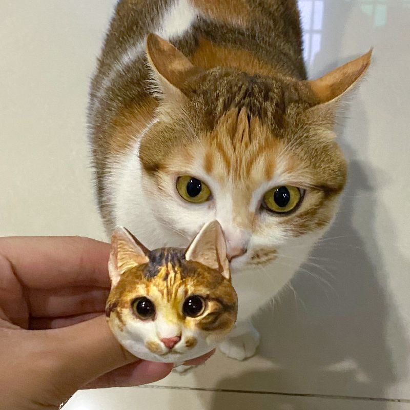 Cat holding a small model of its own face